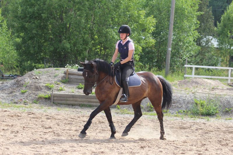 eebenpuu paksu perse vittu